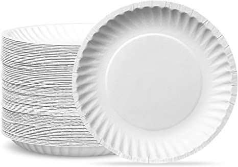 Disposable Plastic Plates (100 pcs)