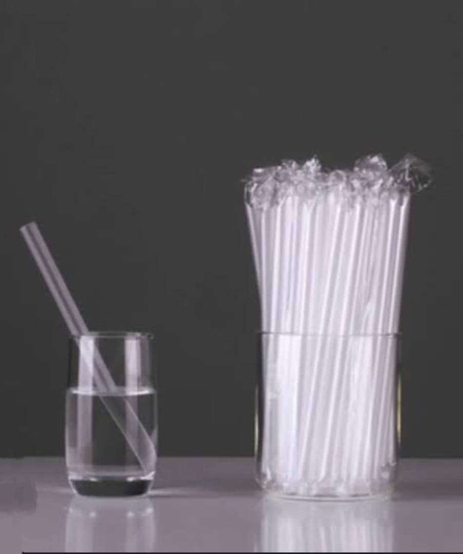 Disposable Plastic Drinking Straw (100 pcs)